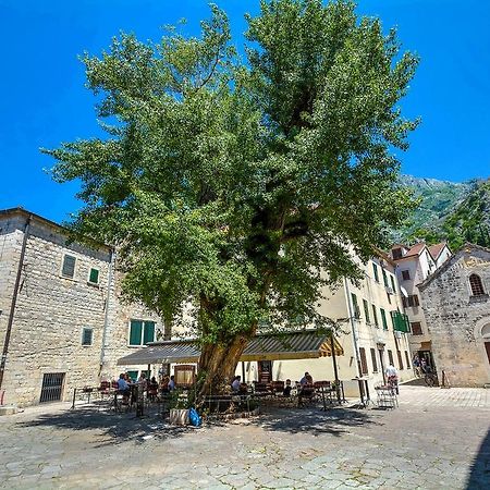 Tajami Apartments Kotor Luaran gambar