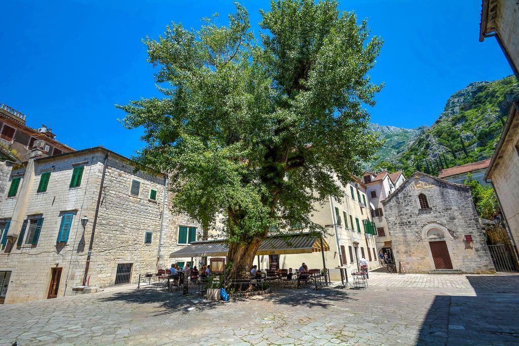 Tajami Apartments Kotor Luaran gambar
